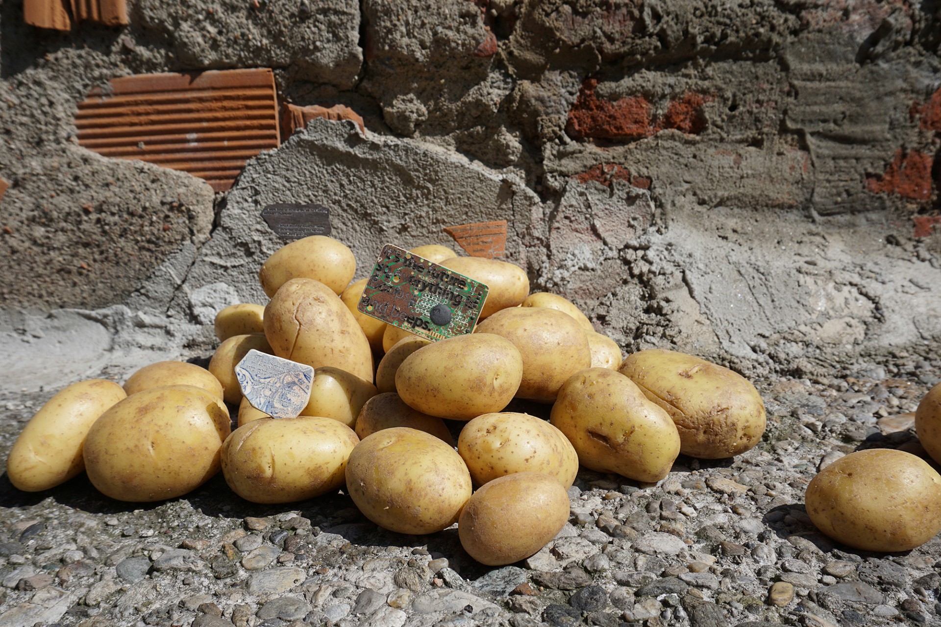 mannn Patatas Guerra