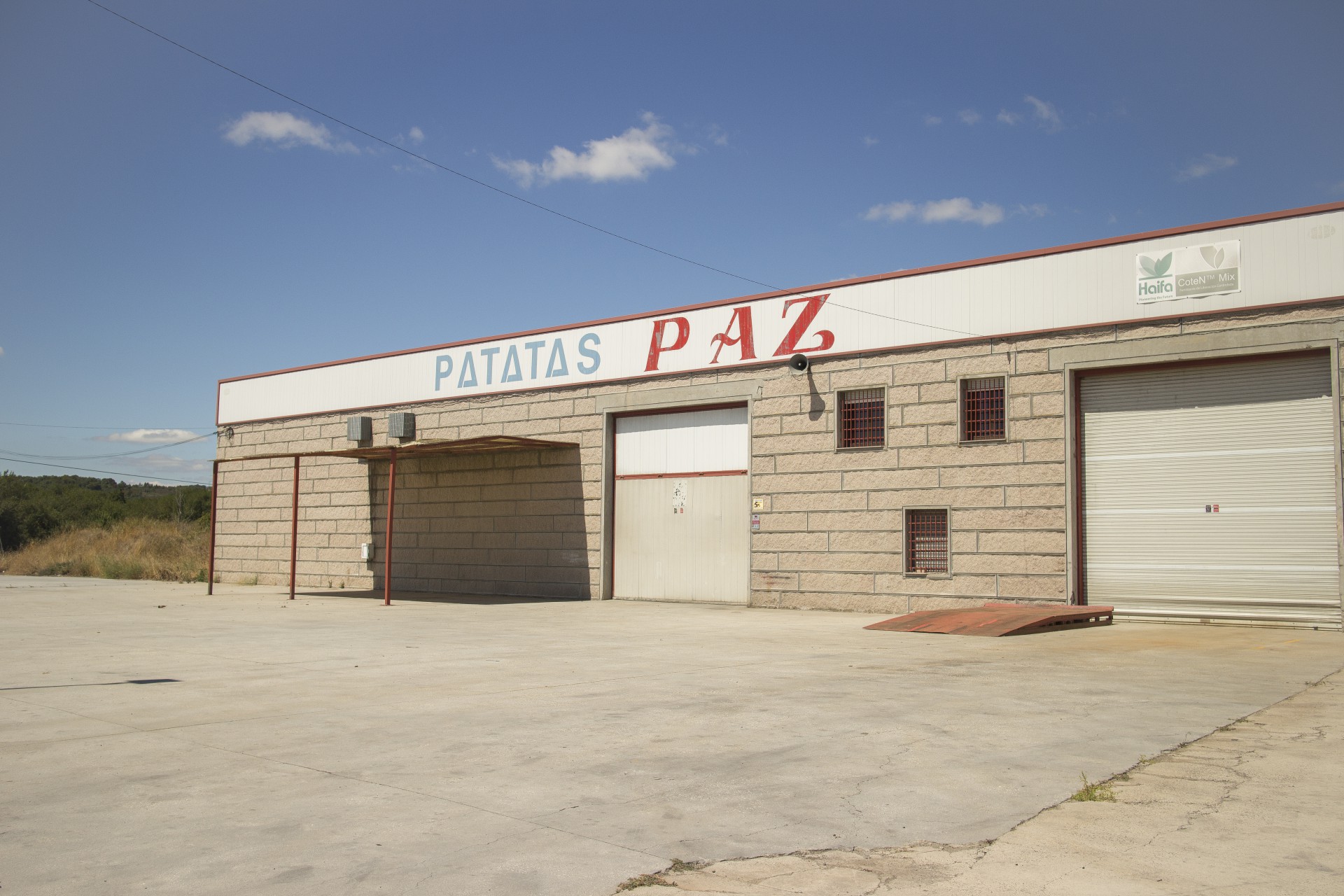 mannn Patatas Guerra